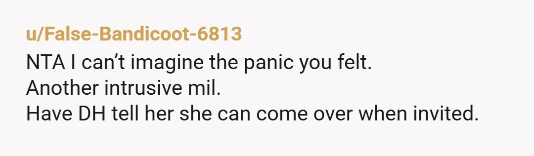 u/Fluffy_Juggernaut_95
NTA.
That she took your baby away from your room while you were sleeping is crazy! I can only imagine the scare it gave you!