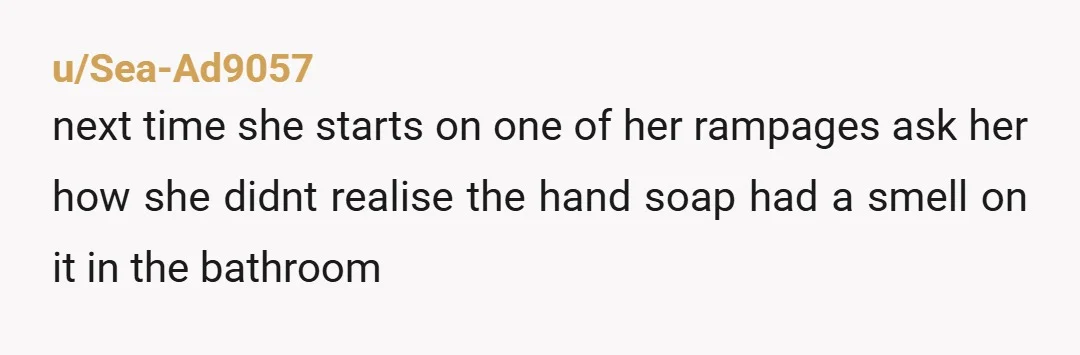 u/Sea-Ad9057
next time she starts on one of her rampages ask her how she didnt realise the hand soap had a smell on it in the bathroom