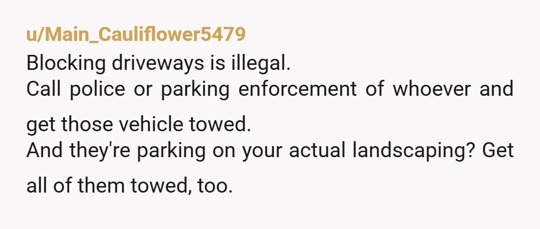 u/Main_Cauliflower5479 Blocking driveways is illegal. Call police or parking enforcement of whoever and get those vehicle towed. And they're parking on your actual landscaping? Get all of them towed, too.