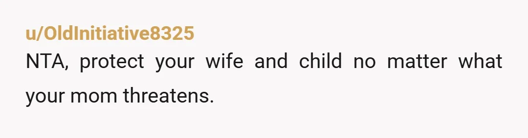 u/OldInitiative8325
NTA, protect your wife and child no matter what your mom threatens.