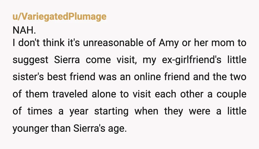 u/ThatOneHaitian NTA- If that’s not a GLARING red flag, I don’t know what is. There is no way of knowing if this “Amy” is even a real 12 year old,...