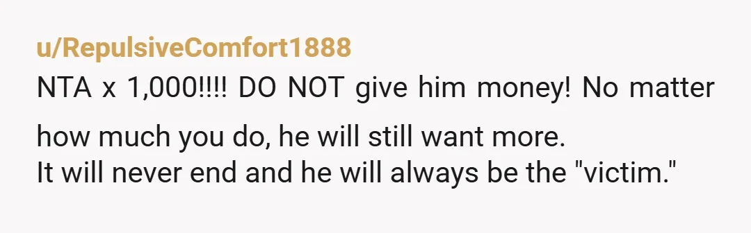 u/HousingOk6362 NTA. A good defense lawyer is not going to help an addict nor a felon. Your brother's best chance here is to serve time in jail/prison and hopefully get...