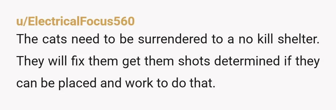 u/ElectricalFocus560 The cats need to be surrendered to a no kill shelter. They will fix them get them shots determined if they can be placed and work to do that....