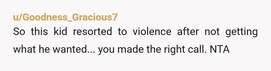 u/Goodness_Gracious7
So this kid resorted to violence after not getting what he wanted... you made the right call. NTA