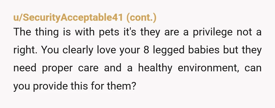 u/ZookeepergameWise774
Find another home for the tarantulas, then tell him that THEY were the only reason you were coming over - from now on, house and siblings are HIS problem!