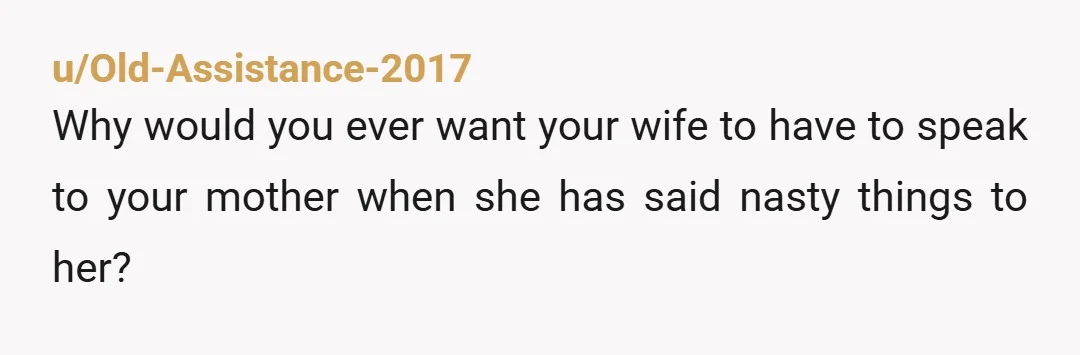 u/Old-Assistance-2017 Why would you ever want your wife to have to speak to your mother when she has said nasty things to her? I am three years NC with my...
