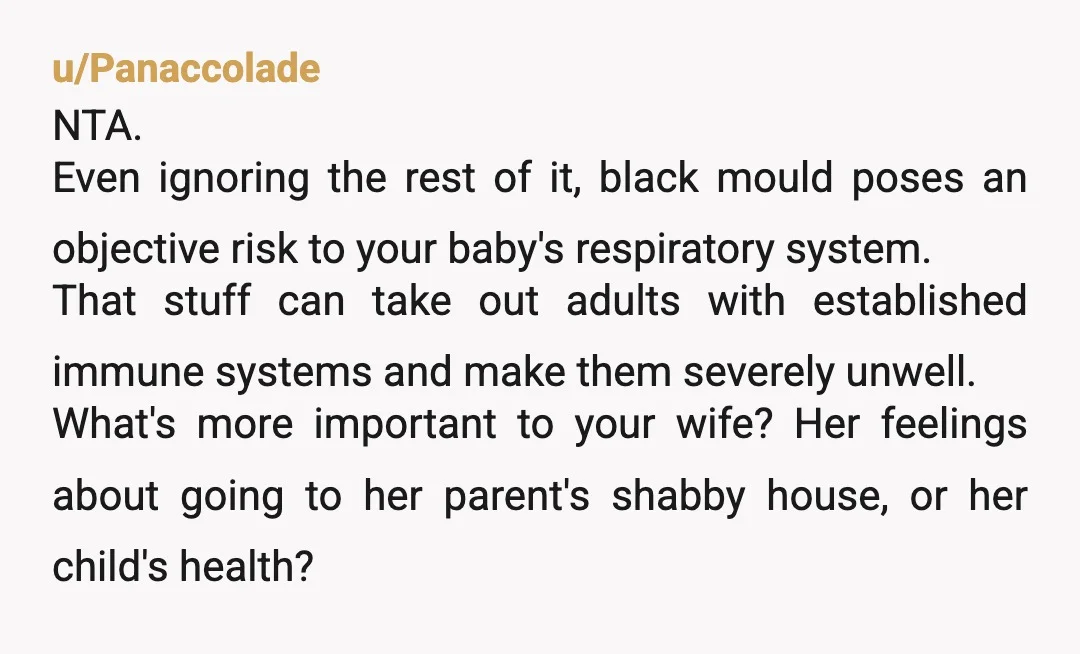 u/ganache98012 Forget dirty bedrooms and smoke odors. You DO NOT MESS WITH BLACK MOLD. My previous home had an undetected water leak for months (but likely more than a year)....