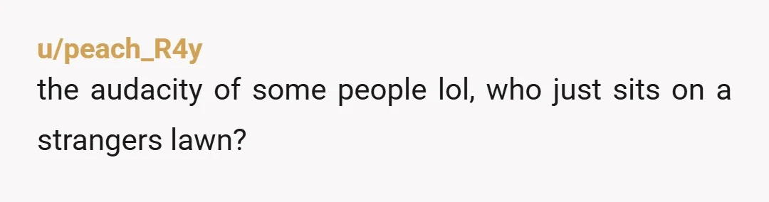 u/peach_R4y
the audacity of some people lol, who just sits on a strangers lawn?