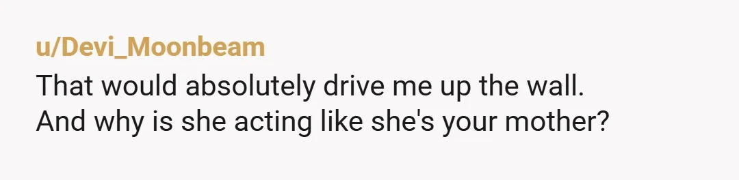 u/knight_shade_realms NTA she doesnt live there and while it's nice if she wants to pick up your place, she has no business reorganizing anything, especially if she is not telling...