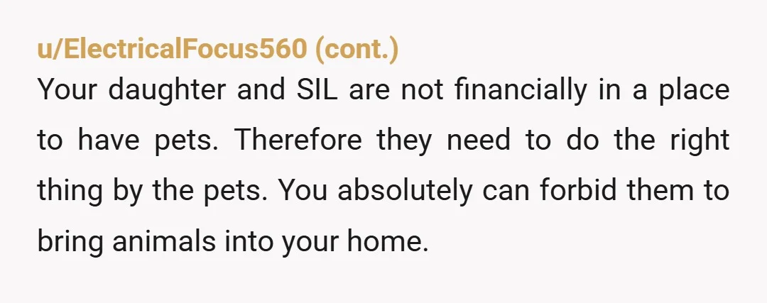 u/ShutDownSoul NTA. This falls into the "don't set yourself on fire to keep someone else warm" category. They have made bad decisions to not be responsible with the dog and...