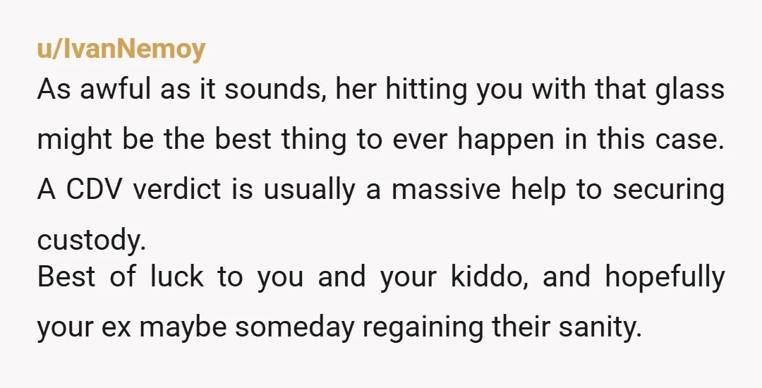u/IvanNemoy As awful as it sounds, her hitting you with that glass might be the best thing to ever happen in this case. A CDV verdict is usually a massive...