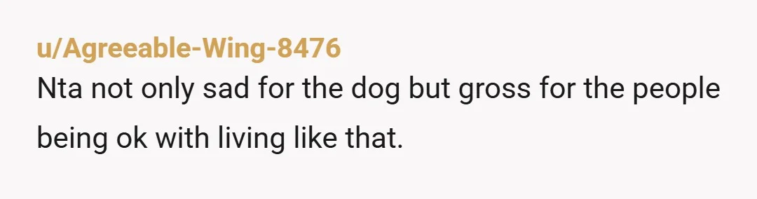 u/Agreeable-Wing-8476 Nta not only sad for the dog but gross for the people being ok with living like that.