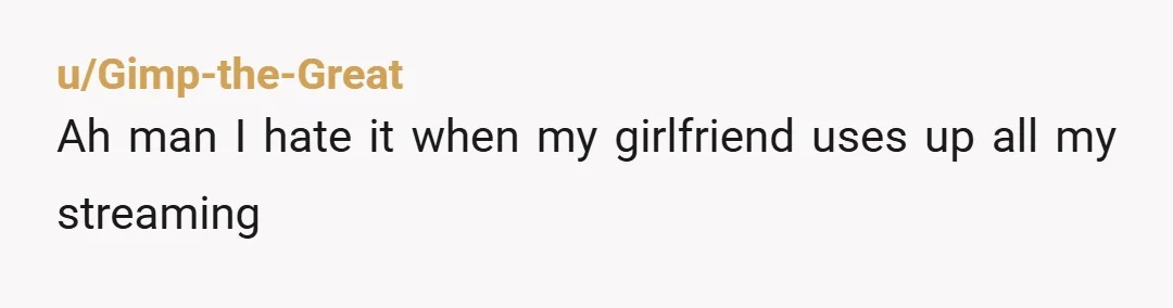 u/Gimp-the-Great
Ah man I hate it when my girlfriend uses up all my streaming