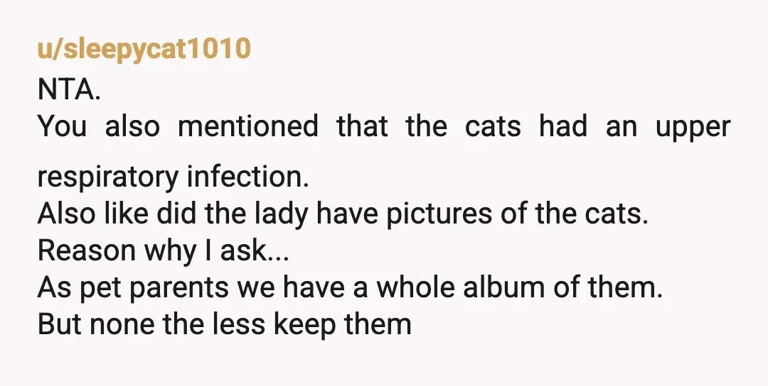 u/sleepycat1010 NTA. You also mentioned that the cats had an upper respiratory infection. Also like did the lady have pictures of the cats. Reason why I ask... As pet parents...