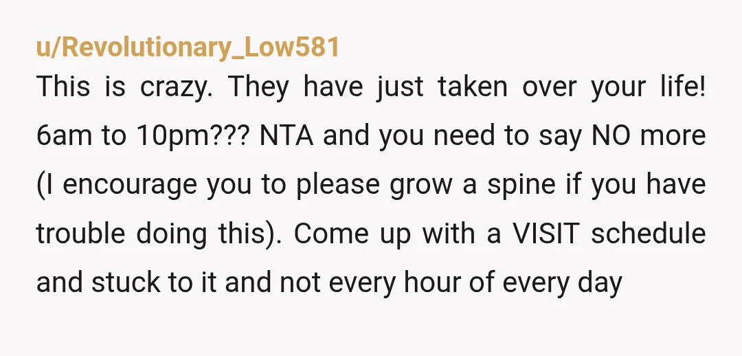 u/ctortan NTA. Your ADULT children made the ADULT decision to have their own kids, so it’s on them to actually parent like adults instead of expecting mom to be their...