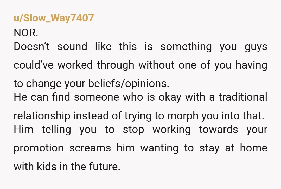 u/MSeemour
Selfmade incel right there, manosphere got a hold on him now.
