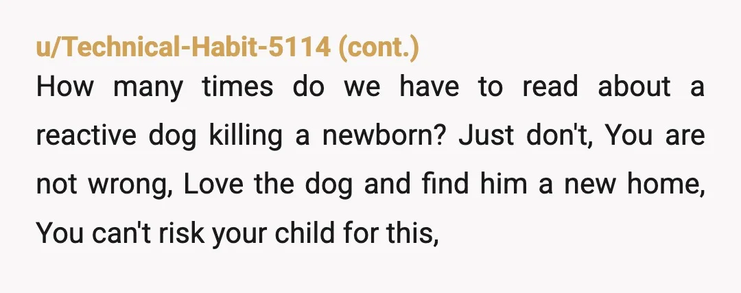 u/TheRoadkillRapunzel NTA. The dog is aggressive, probably territorial, has bitten before, and cannot be trusted around the baby who is coming who MUST be the priority. Nothing else matters. Not...