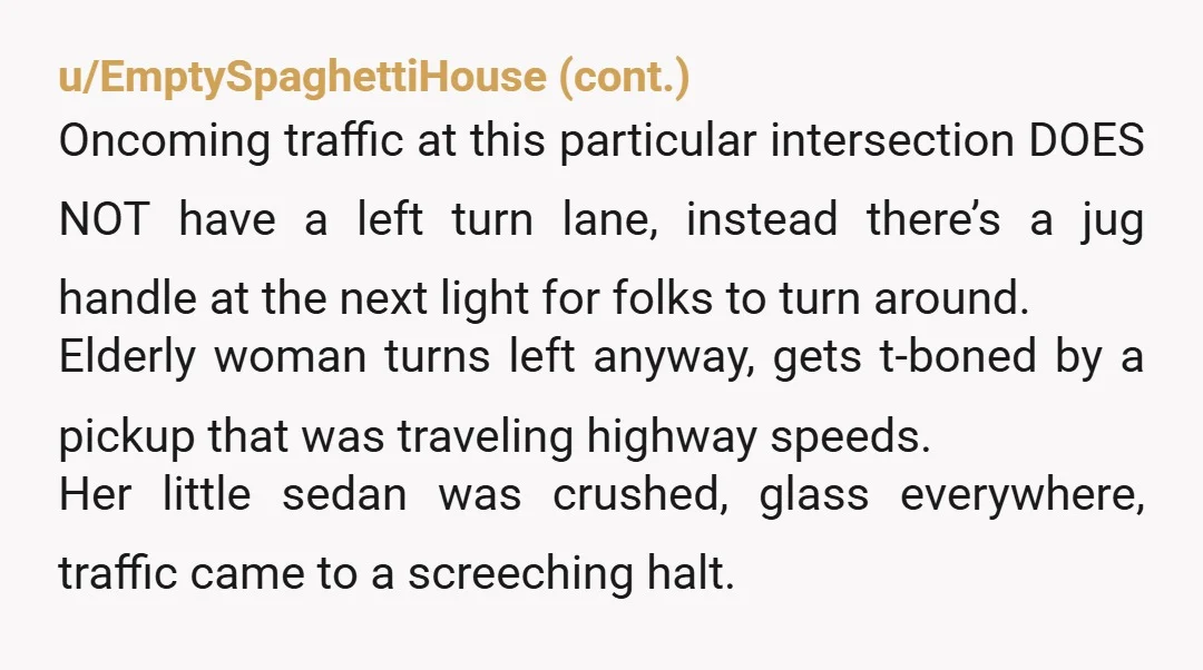 u/vulnerable_turtle NTA, stopping on a freeway can be just as deadly.  Thank you for getting your child out of there. We lost a niece in our family when the car...
