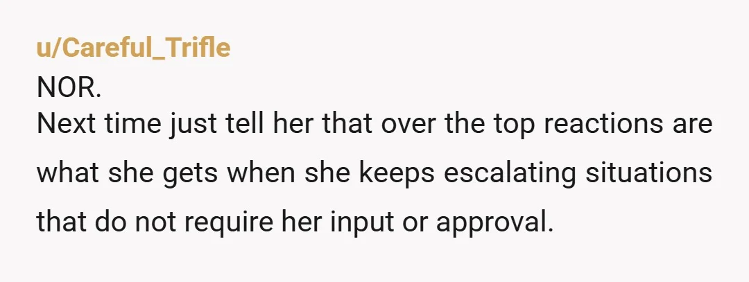 u/Careful_Trifle NOR. Next time just tell her that over the top reactions are what she gets when she keeps escalating situations that do not require her input or approval.
