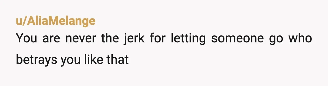 u/AliaMelange
You are never the jerk for letting someone go who betrays you like that
