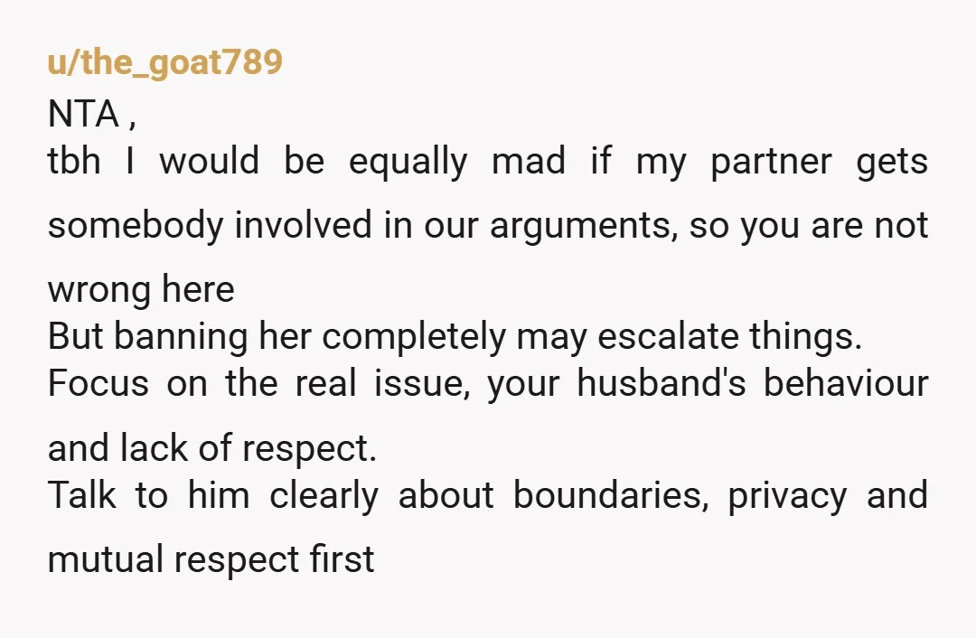 u/the_goat789 NTA , tbh I would be equally mad if my partner gets somebody involved in our arguments, so you are not wrong here But banning her completely may escalate...