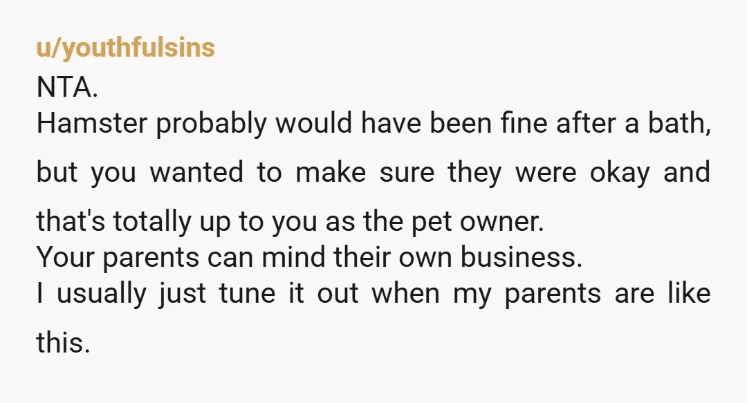 u/youthfulsins NTA. Hamster probably would have been fine after a bath, but you wanted to make sure they were okay and that's totally up to you as the pet owner....