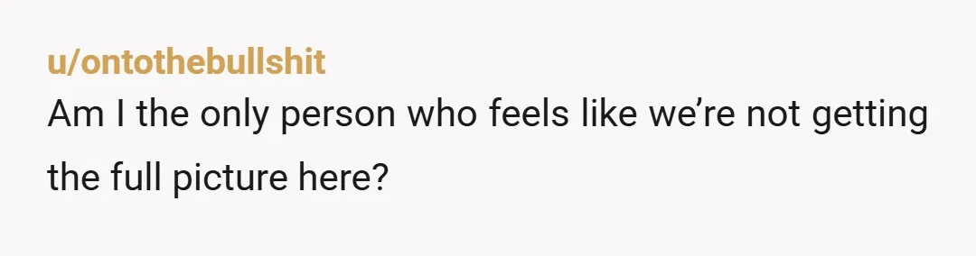 u/ontothebullshit Am I the only person who feels like we’re not getting the full picture here?