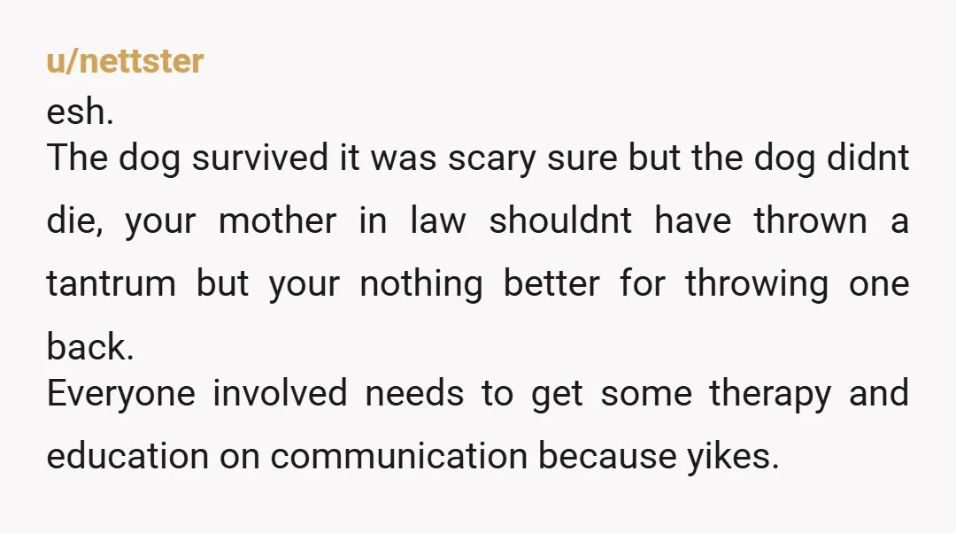 u/nettster esh. The dog survived it was scary sure but the dog didnt die, your mother in law shouldnt have thrown a tantrum but your nothing better for throwing one...
