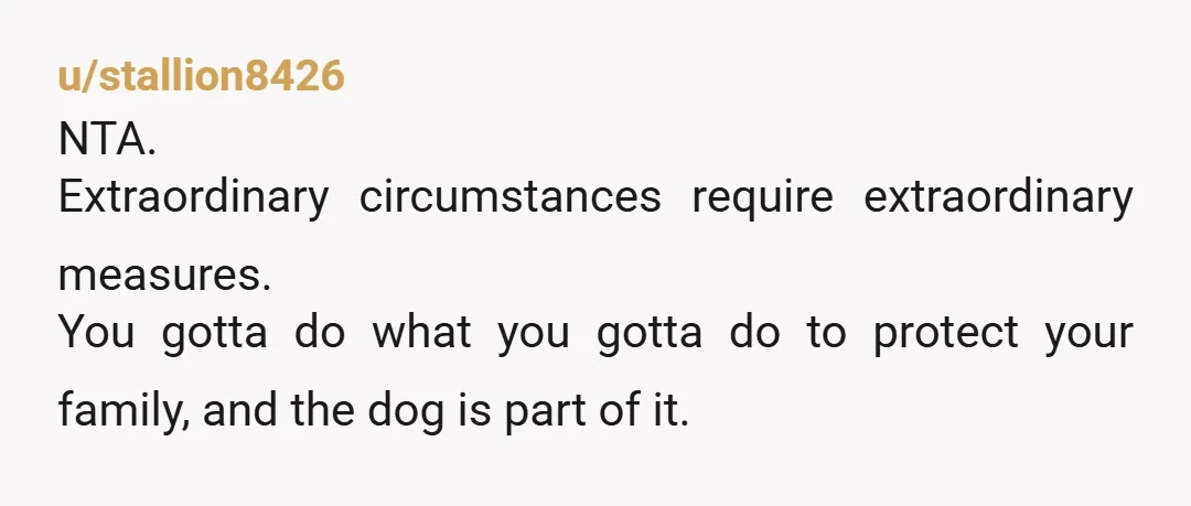 u/stallion8426
NTA.
Extraordinary circumstances require extraordinary measures.
You gotta do what you gotta do to protect your family, and the dog is part of it.