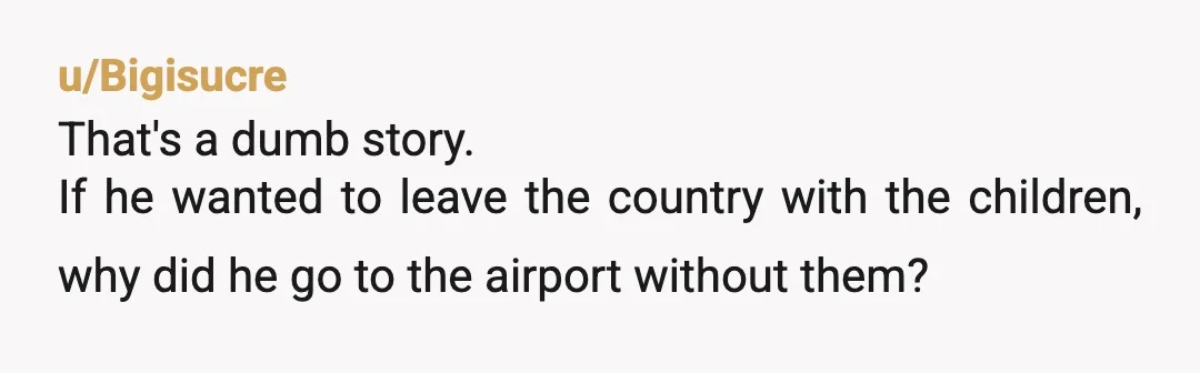 u/Bigisucre
That's a dumb story.
If he wanted to leave the country with the children, why did he go to the airport without them?