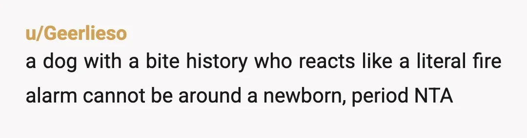u/justbraised NTA. The dog doesn't sound very happy at all. Even without a baby on the scene it isn't getting the attention it needs, and the aggression is really worrying....