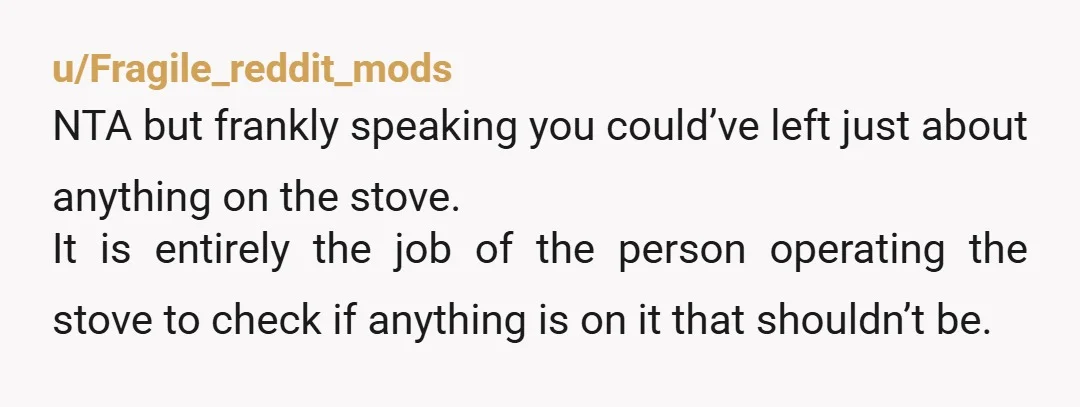 u/Fragile_reddit_mods NTA but frankly speaking you could’ve left just about anything on the stove. It is entirely the job of the person operating the stove to check if anything is...