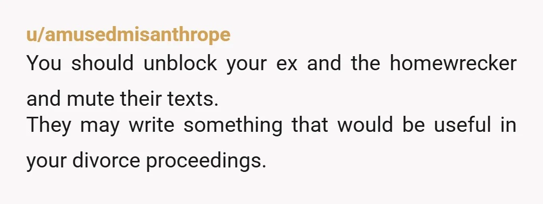 u/amusedmisanthrope You should unblock your ex and the homewrecker and mute their texts. They may write something that would be useful in your divorce proceedings.