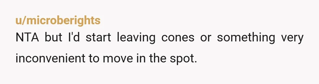 u/Forward-Two3846 So, the HOA that charged you to rent or buy your parking space has been getting money under the table when your s*** neighbor rented out your parking space...