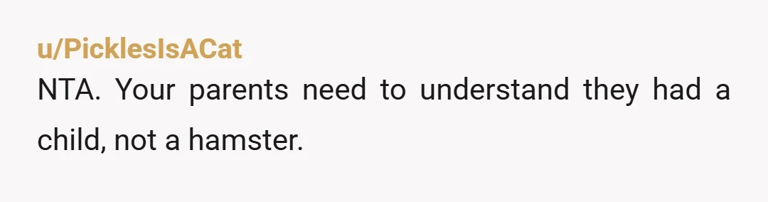 u/ServelanDarrow
NTA.  You are a teenager and, imo, they should provide you with a space of your own in the family home.