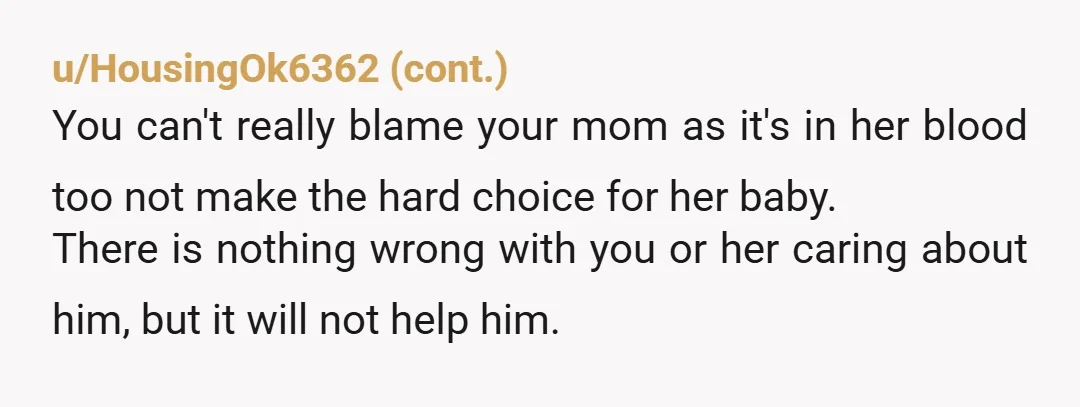u/Lovebeingadad54321
NTA he robbed the store. He will be assigned a public defender.