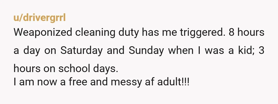 u/drivergrrl Weaponized cleaning duty has me triggered. 8 hours a day on Saturday and Sunday when I was a kid; 3 hours on school days. I am now a free...