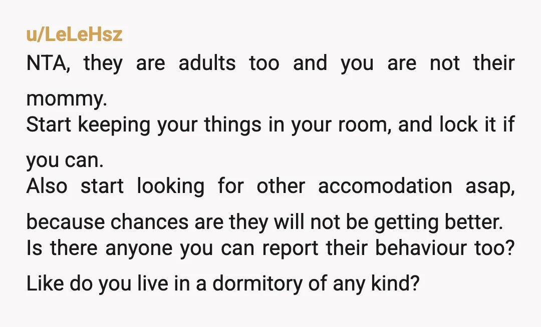 u/LeLeHsz NTA, they are adults too and you are not their mommy. Start keeping your things in your room, and lock it if you can. Also start looking for other...