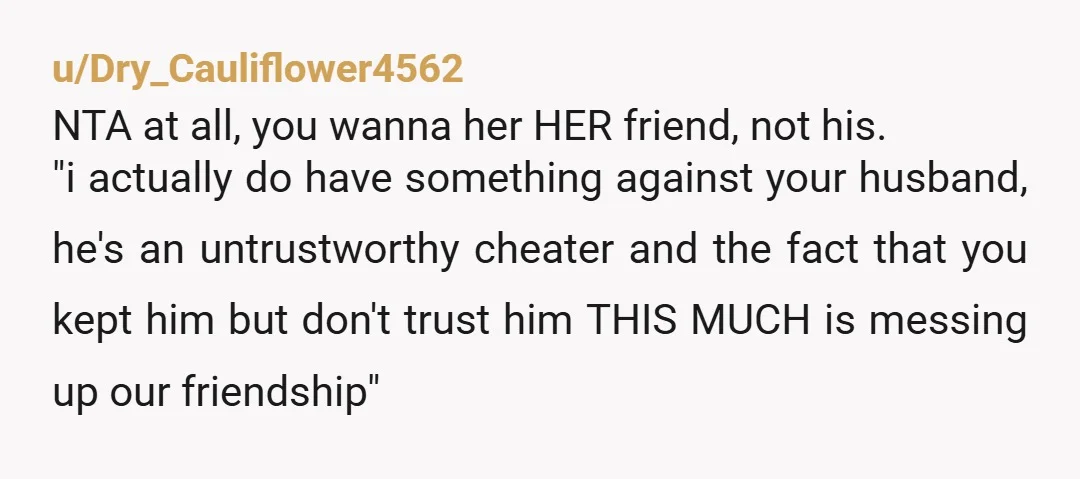 u/Dry_Cauliflower4562 NTA at all, you wanna her HER friend, not his. "i actually do have something against your husband, he's an untrustworthy cheater and the fact that you kept him...