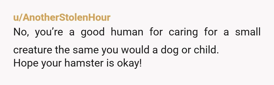 u/AnotherStolenHour
No, you’re a good human for caring for a small creature the same you would a dog or child.
Hope your hamster is okay!