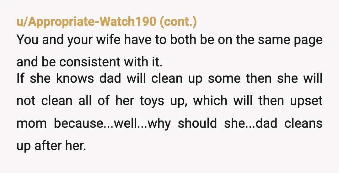 u/GlumDevelopment8186 I think your wife’s expectations about putting toys away might be a little too high for a 3 year old. I used to make putting toys away a game...