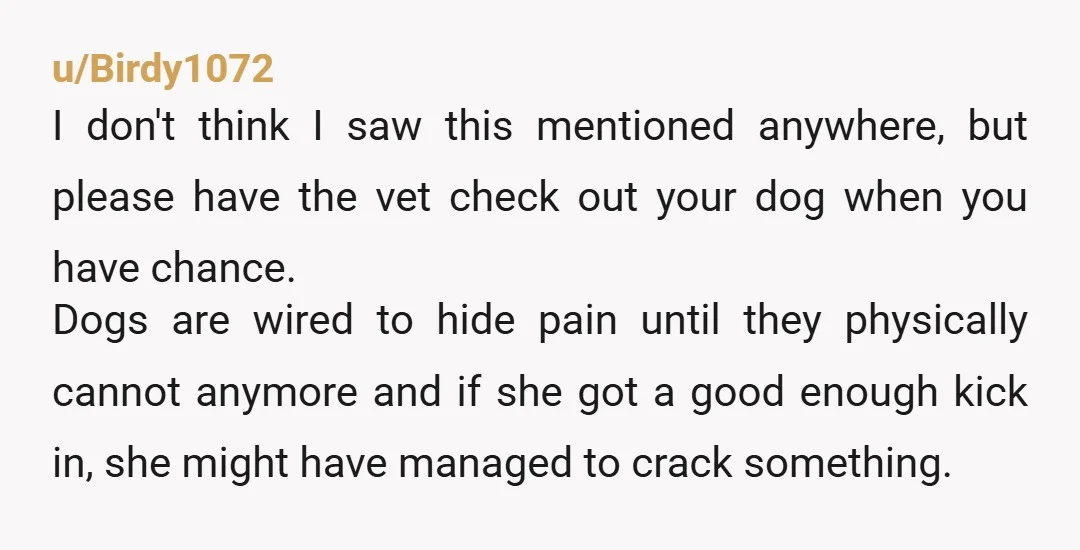 u/Birdy1072 I don't think I saw this mentioned anywhere, but please have the vet check out your dog when you have chance. Dogs are wired to hide pain until they...