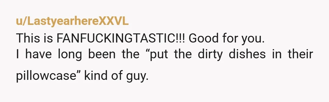 u/LastyearhereXXVL This is FANFUCKINGTASTIC!!! Good for you. I have long been the “put the dirty dishes in their pillowcase” kind of guy.