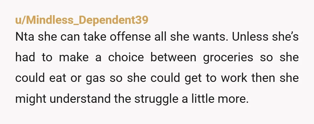 u/Sardinesarethebest Nta. There is a long disgusting history of well off people pretending to be poor then writing about their experiences. With the same attitude as your roommate. Nickel and...