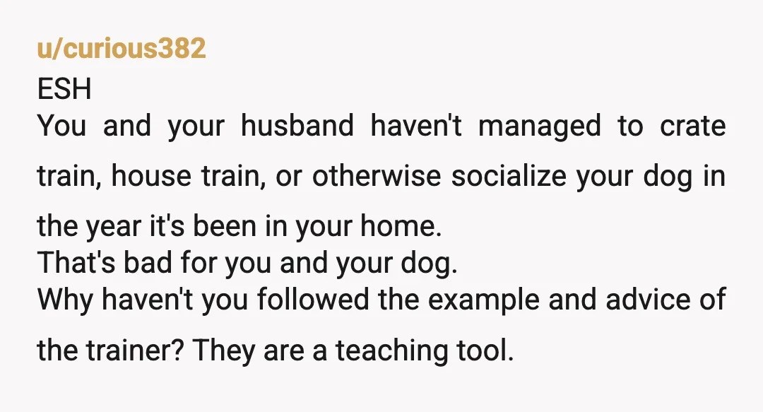 u/Heeseol First and foremost, YTA for adopting a dog without having the bandwidth to take care of its needs...Seems like neither of you are equipped to nurture and train him,...