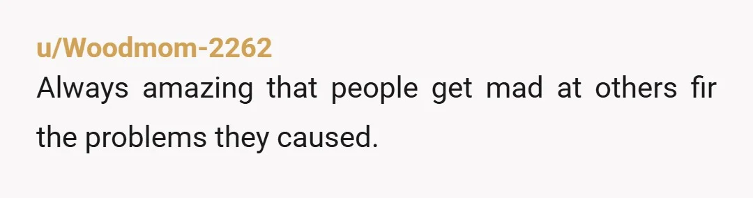 u/Thin-League4368 I never say anything bad about the other parent. But if he lies to the kids I always set it straight. The only thing they don’t know about is...