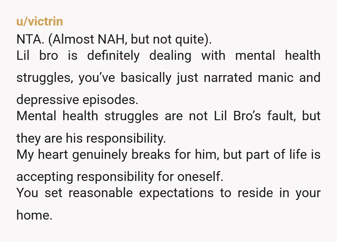u/victrin NTA. (Almost NAH, but not quite). Lil bro is definitely dealing with mental health struggles, you’ve basically just narrated manic and depressive episodes. Mental health struggles are not Lil...