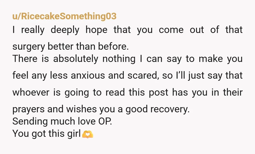 u/RicecakeSomething03 I really deeply hope that you come out of that surgery better than before. There is absolutely nothing I can say to make you feel any less anxious and...