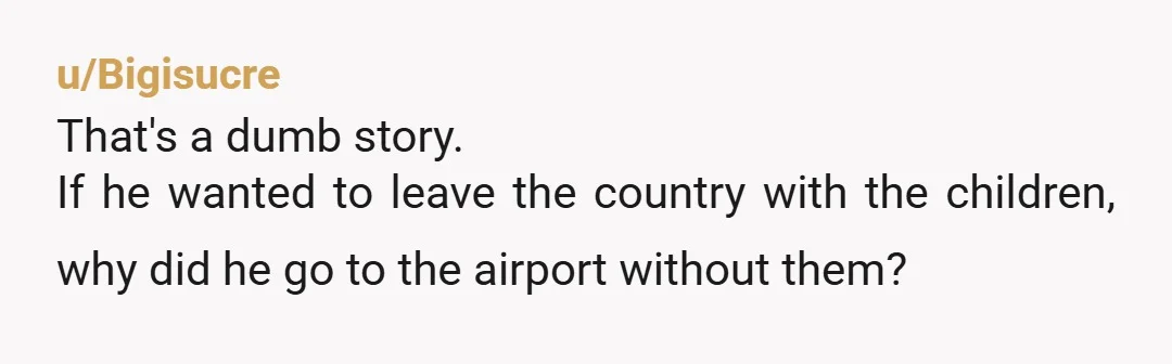 u/Bigisucre
That's a dumb story.
If he wanted to leave the country with the children, why did he go to the airport without them?