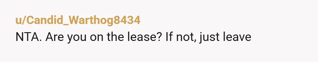 u/According_Pizza8484 Nta but deal with this directly with your landlord and make sure everything is legal on that front. Their reactions after the fact will be irrelevant, please dont pay...
